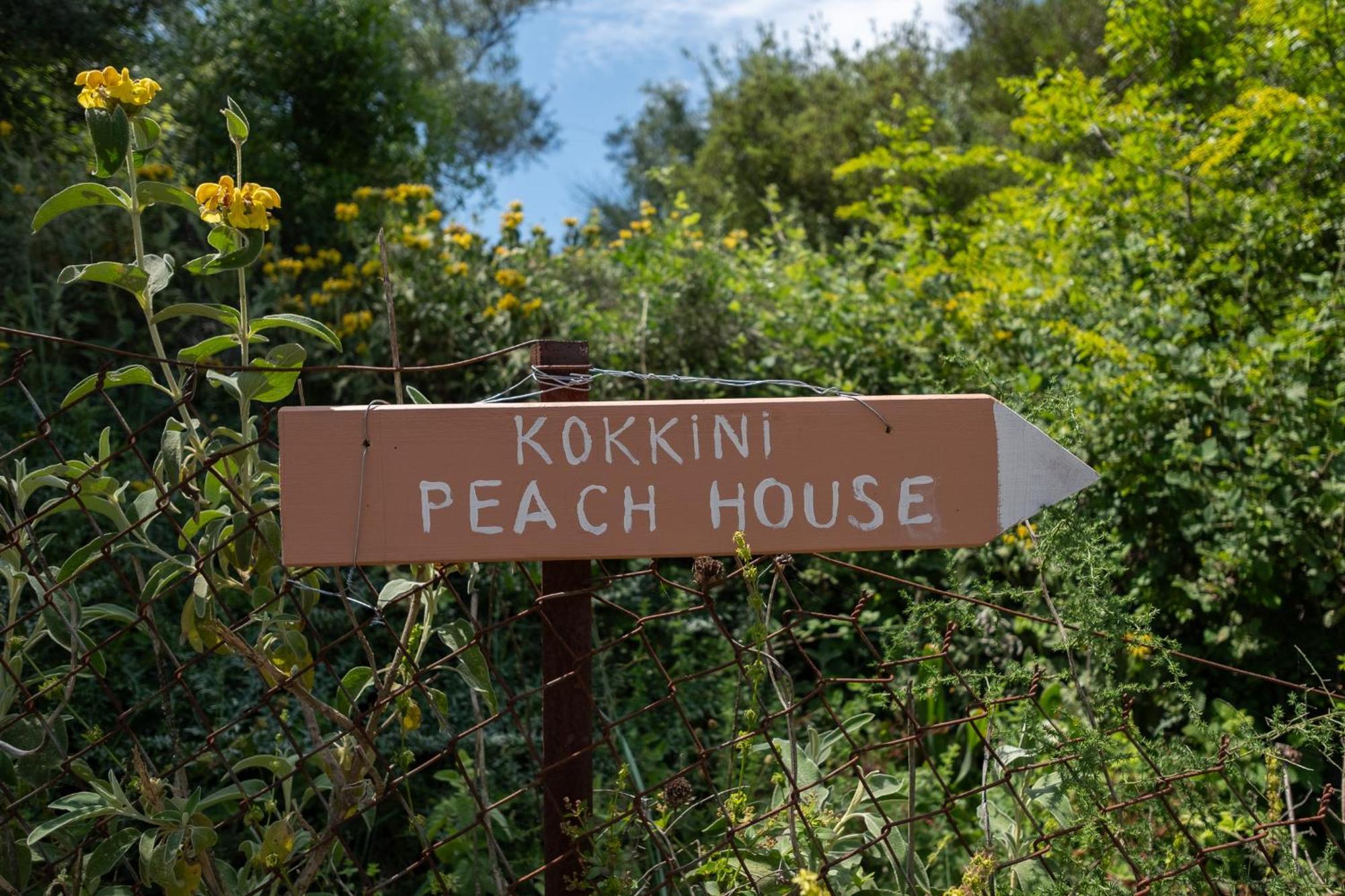 Kokkínion Kokkini Peach House 아파트 외부 사진