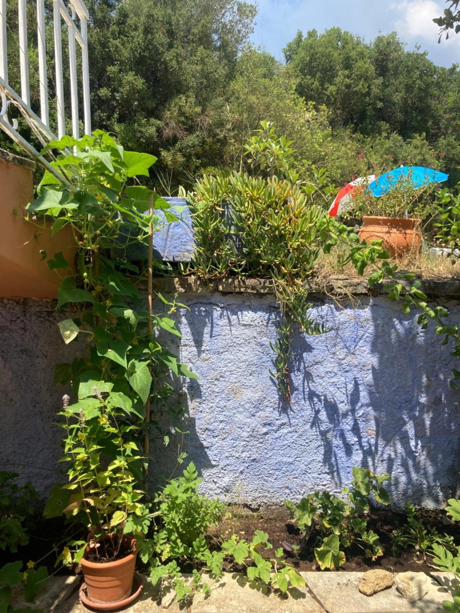 Kokkínion Kokkini Peach House 아파트 외부 사진